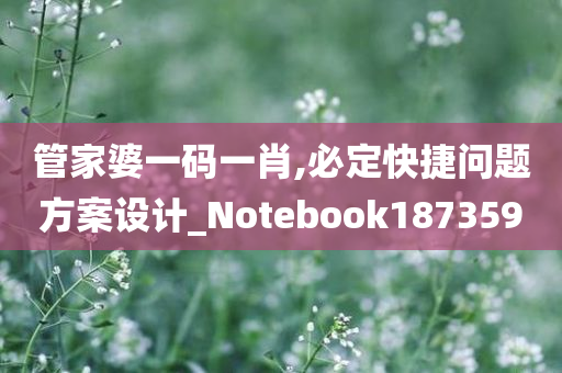 管家婆一码一肖,必定快捷问题方案设计_Notebook187359