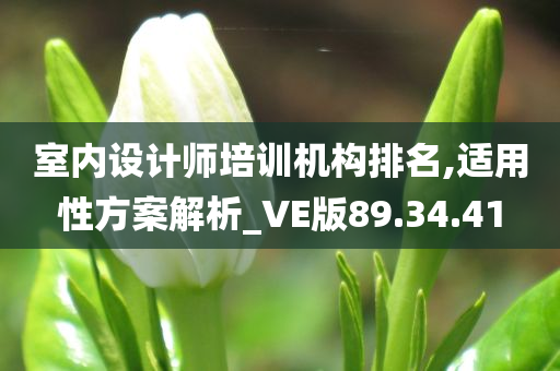 室内设计师培训机构排名,适用性方案解析_VE版89.34.41