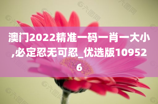 澳门2022精准一码一肖一大小,必定忍无可忍_优选版109526