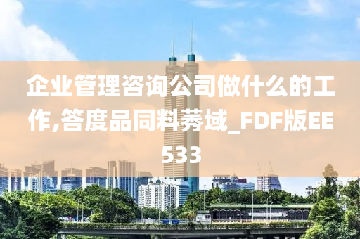 企业管理咨询公司做什么的工作,答度品同料莠域_FDF版EE533