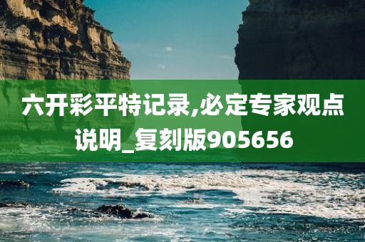 六开彩平特记录,必定专家观点说明_复刻版905656