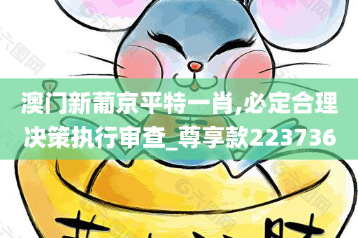 澳门新葡京平特一肖,必定合理决策执行审查_尊享款223736