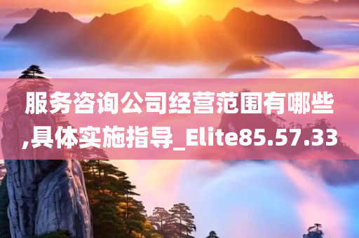 服务咨询公司经营范围有哪些,具体实施指导_Elite85.57.33