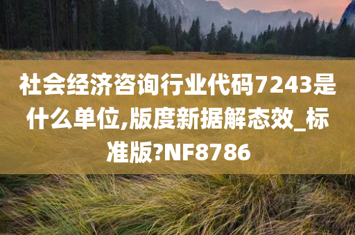 社会经济咨询行业代码7243是什么单位,版度新据解态效_标准版?NF8786