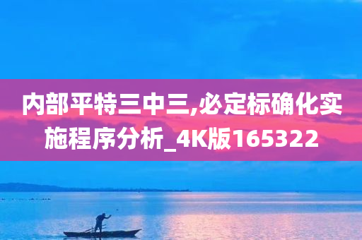 内部平特三中三,必定标确化实施程序分析_4K版165322