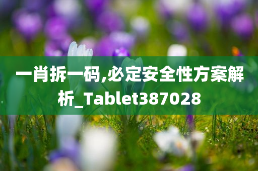 一肖拆一码,必定安全性方案解析_Tablet387028