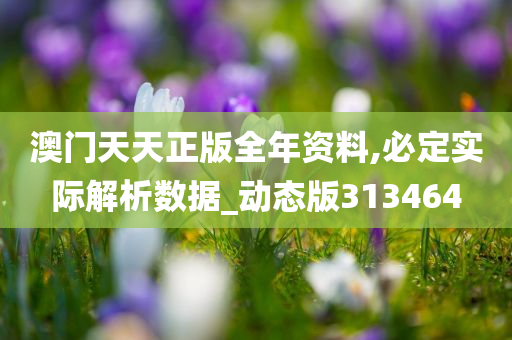 澳门天天正版全年资料,必定实际解析数据_动态版313464