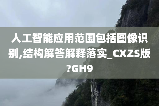 人工智能应用范围包括图像识别,结构解答解释落实_CXZS版?GH9