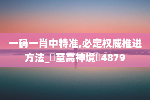 一码一肖中特准,必定权威推进方法_‌至高神境‌4879