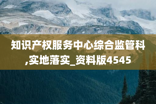 知识产权服务中心综合监管科,实地落实_资料版4545