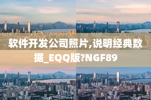 软件开发公司照片,说明经典数据_EQQ版?NGF89