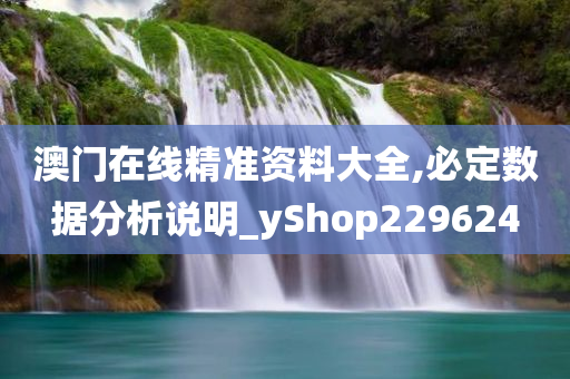 澳门在线精准资料大全,必定数据分析说明_yShop229624