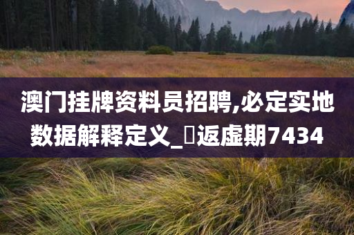 澳门挂牌资料员招聘,必定实地数据解释定义_‌返虚期7434