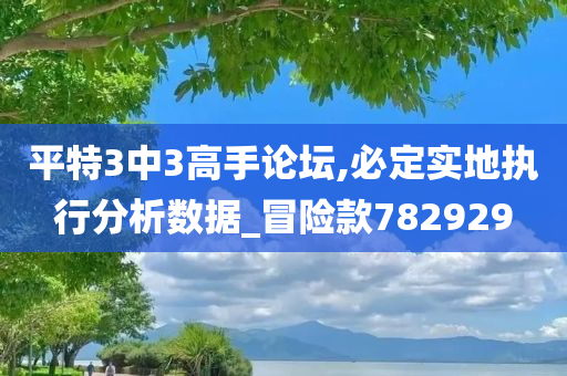 平特3中3高手论坛,必定实地执行分析数据_冒险款782929