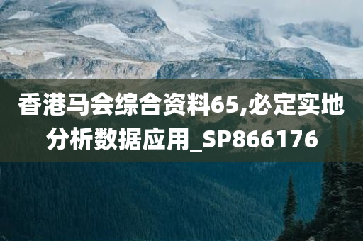 香港马会综合资料65,必定实地分析数据应用_SP866176