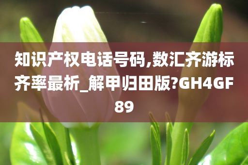 知识产权电话号码,数汇齐游标齐率最析_解甲归田版?GH4GF89