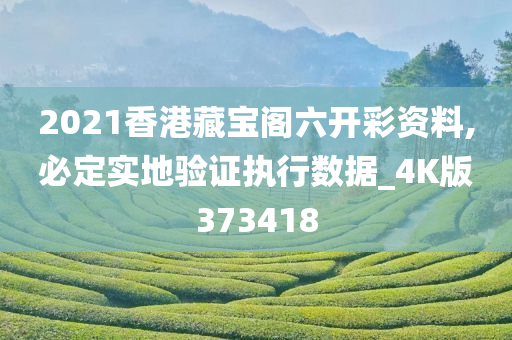 2021香港藏宝阁六开彩资料,必定实地验证执行数据_4K版373418