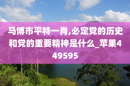 马博市平特一肖,必定党的历史和党的重要精神是什么_苹果449595