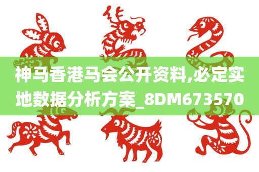 神马香港马会公开资料,必定实地数据分析方案_8DM673570