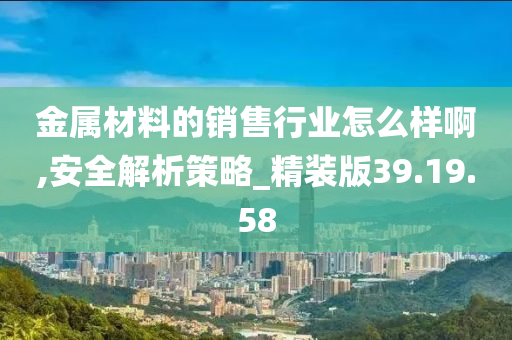 金属材料的销售行业怎么样啊,安全解析策略_精装版39.19.58