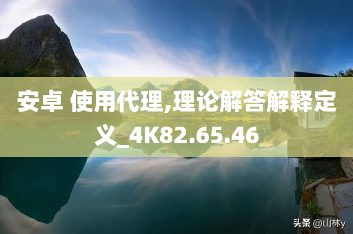 安卓 使用代理,理论解答解释定义_4K82.65.46