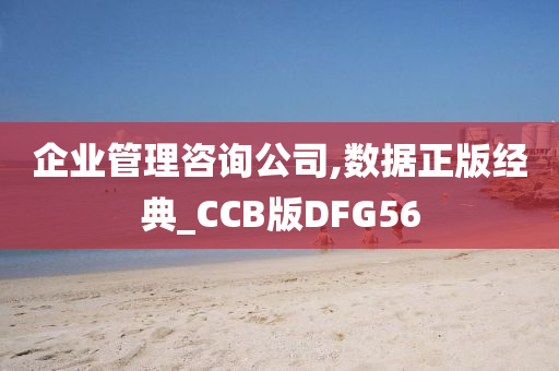 企业管理咨询公司,数据正版经典_CCB版DFG56