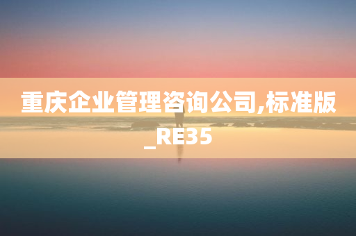 重庆企业管理咨询公司,标准版_RE35