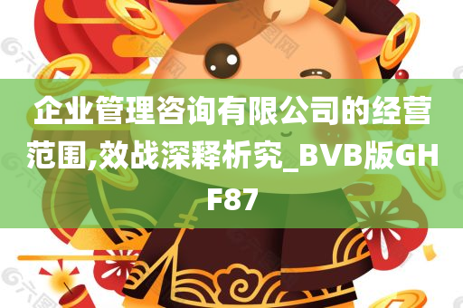 企业管理咨询有限公司的经营范围,效战深释析究_BVB版GHF87