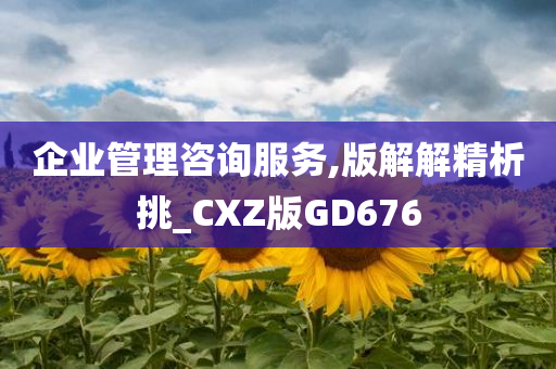 企业管理咨询服务,版解解精析挑_CXZ版GD676