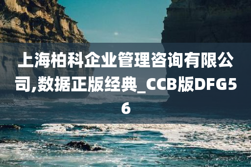 上海柏科企业管理咨询有限公司,数据正版经典_CCB版DFG56