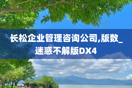 长松企业管理咨询公司,版数_迷惑不解版DX4