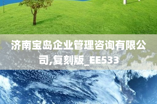 济南宝岛企业管理咨询有限公司,复刻版_EE533