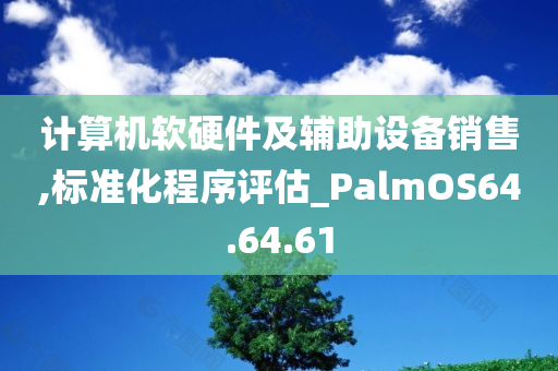 计算机软硬件及辅助设备销售,标准化程序评估_PalmOS64.64.61