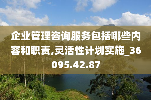 企业管理咨询服务包括哪些内容和职责,灵活性计划实施_36095.42.87