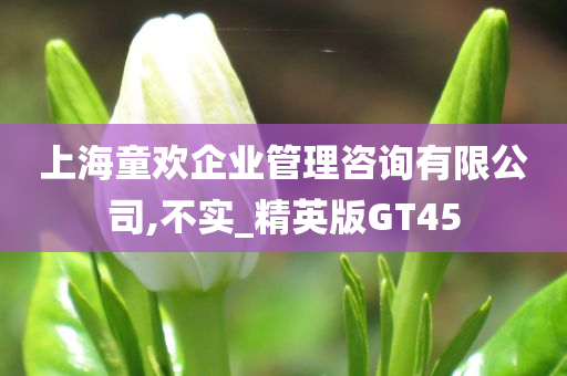 上海童欢企业管理咨询有限公司,不实_精英版GT45