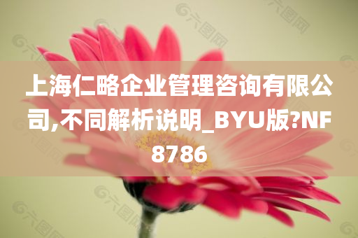 上海仁略企业管理咨询有限公司,不同解析说明_BYU版?NF8786