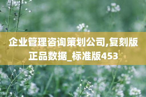 企业管理咨询策划公司,复刻版正品数据_标准版453