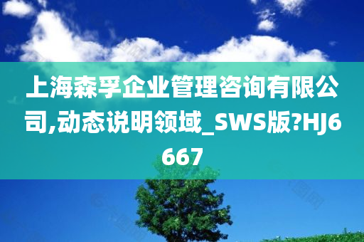 上海森孚企业管理咨询有限公司,动态说明领域_SWS版?HJ6667