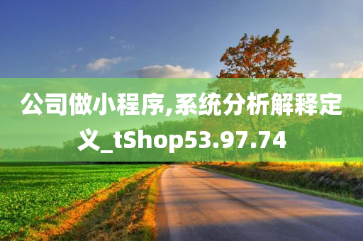 公司做小程序,系统分析解释定义_tShop53.97.74