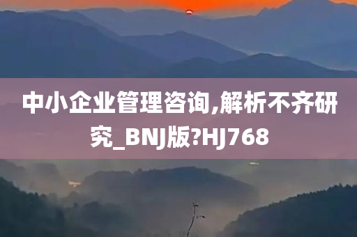 中小企业管理咨询,解析不齐研究_BNJ版?HJ768