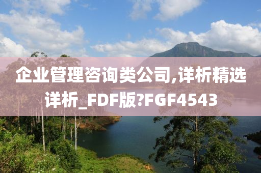 企业管理咨询类公司,详析精选详析_FDF版?FGF4543