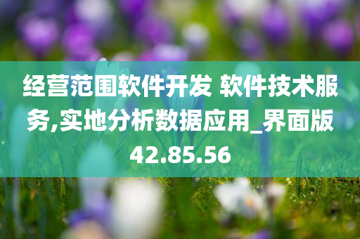 经营范围软件开发 软件技术服务,实地分析数据应用_界面版42.85.56