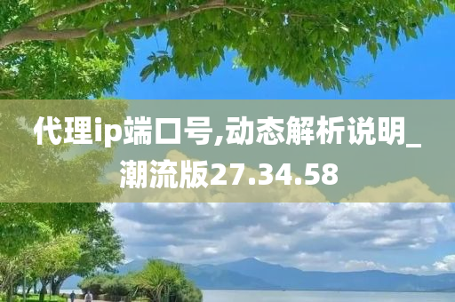 代理ip端口号,动态解析说明_潮流版27.34.58