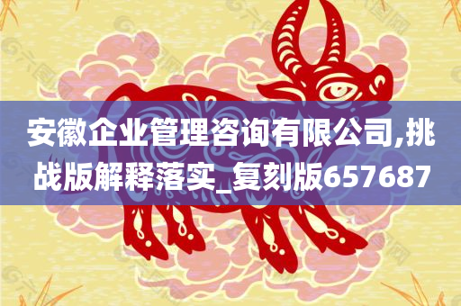 安徽企业管理咨询有限公司,挑战版解释落实_复刻版657687