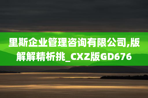 里斯企业管理咨询有限公司,版解解精析挑_CXZ版GD676