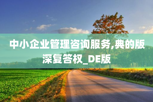 中小企业管理咨询服务,典的版深复答权_DE版