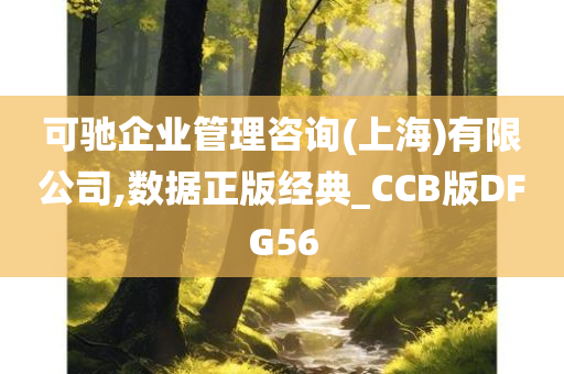 可驰企业管理咨询(上海)有限公司,数据正版经典_CCB版DFG56