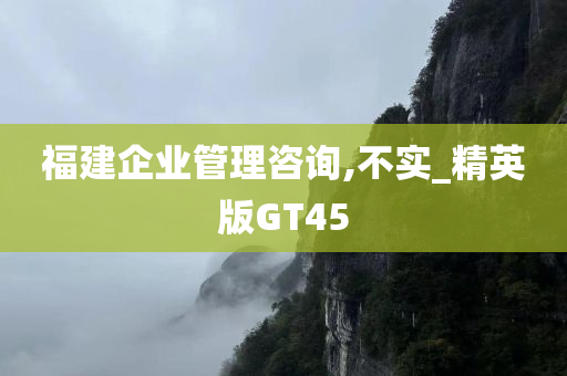 福建企业管理咨询,不实_精英版GT45