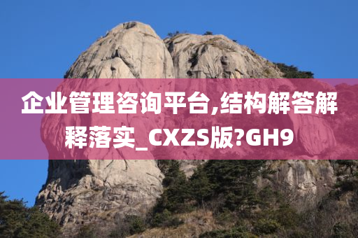 企业管理咨询平台,结构解答解释落实_CXZS版?GH9