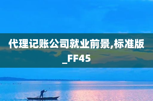 代理记账公司就业前景,标准版_FF45